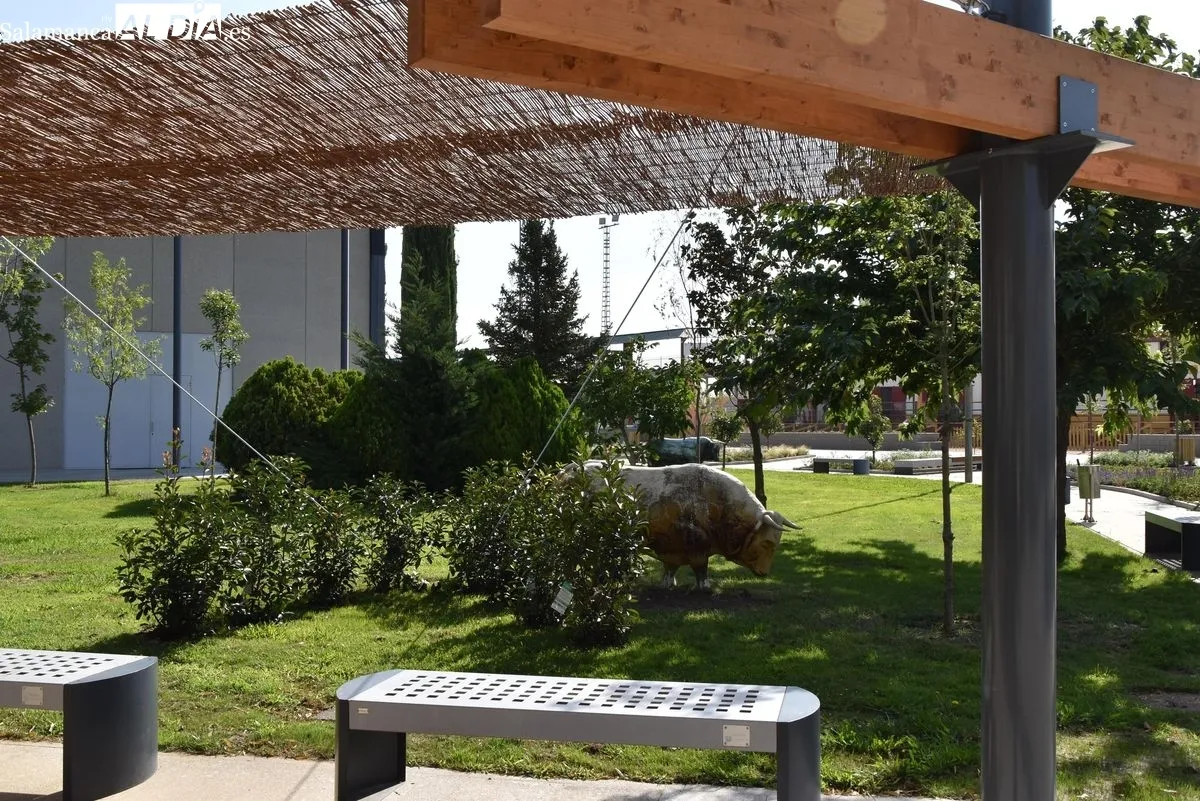 Nuevo bulevar del Recinto Ferial de la Diputación de Salamanca. Fotos: Miguel Á. González