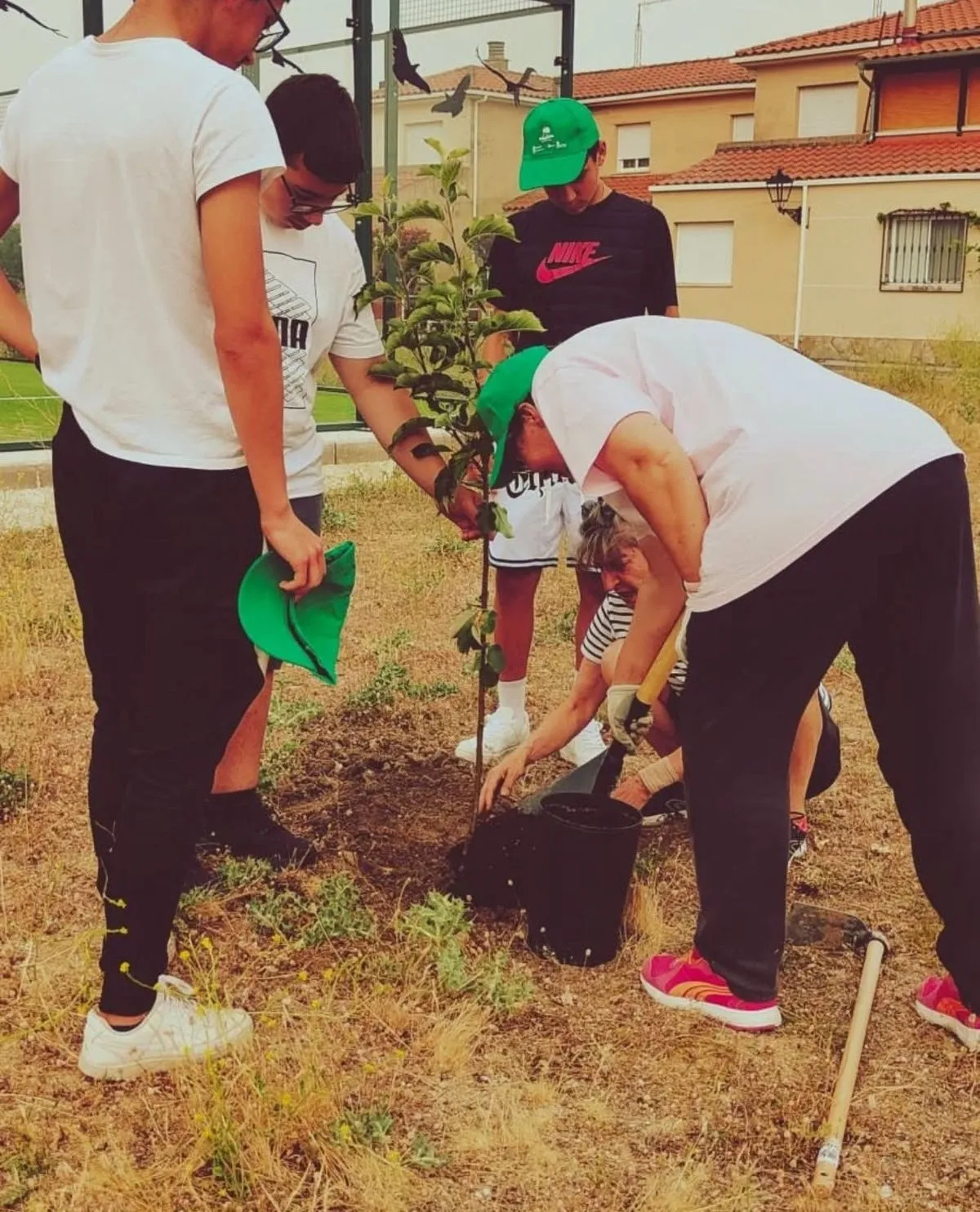Foto 2 - Arboleda 25 culmina con la plantaci&oacute;n de 1.600 &aacute;rboles en 45 municipios de Salamanca