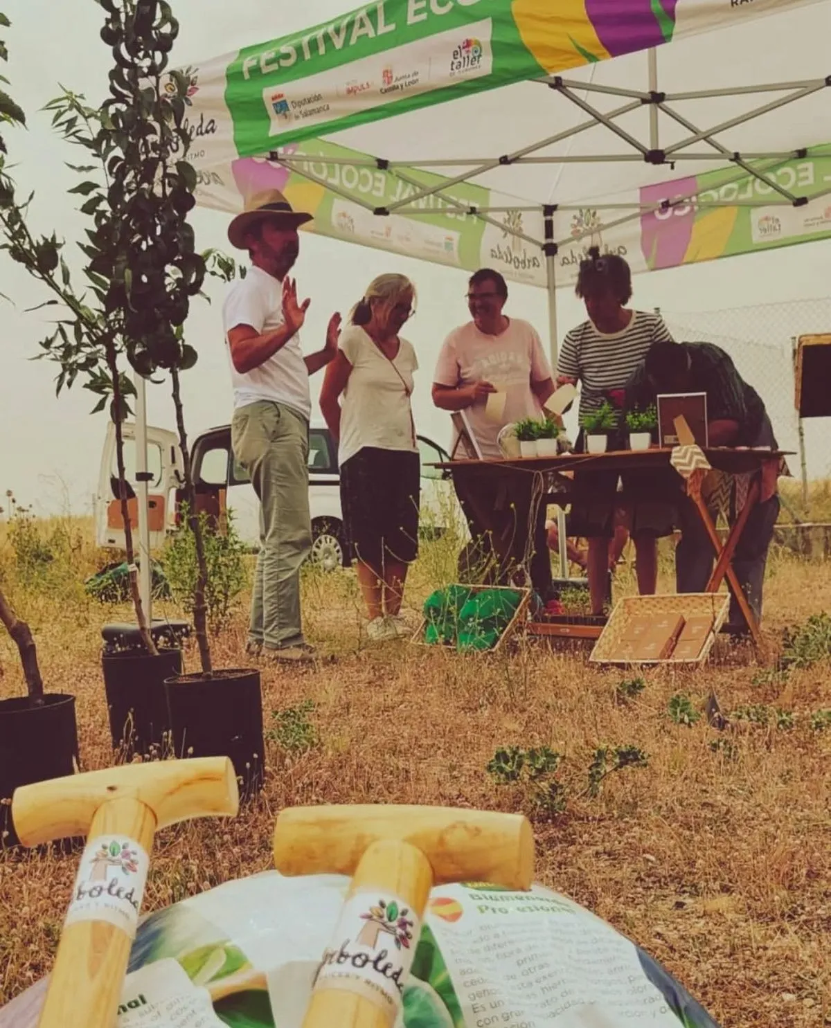 Foto 4 - Arboleda 25 culmina con la plantaci&oacute;n de 1.600 &aacute;rboles en 45 municipios de Salamanca
