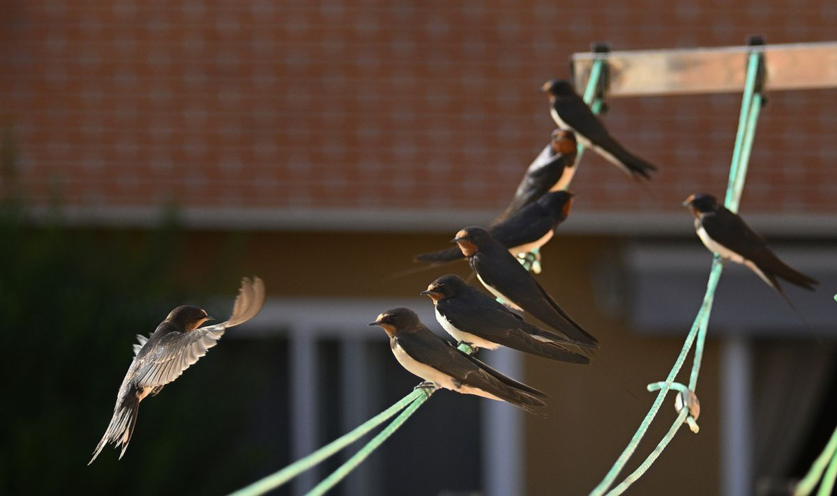 Cabrerizos, Salamanca