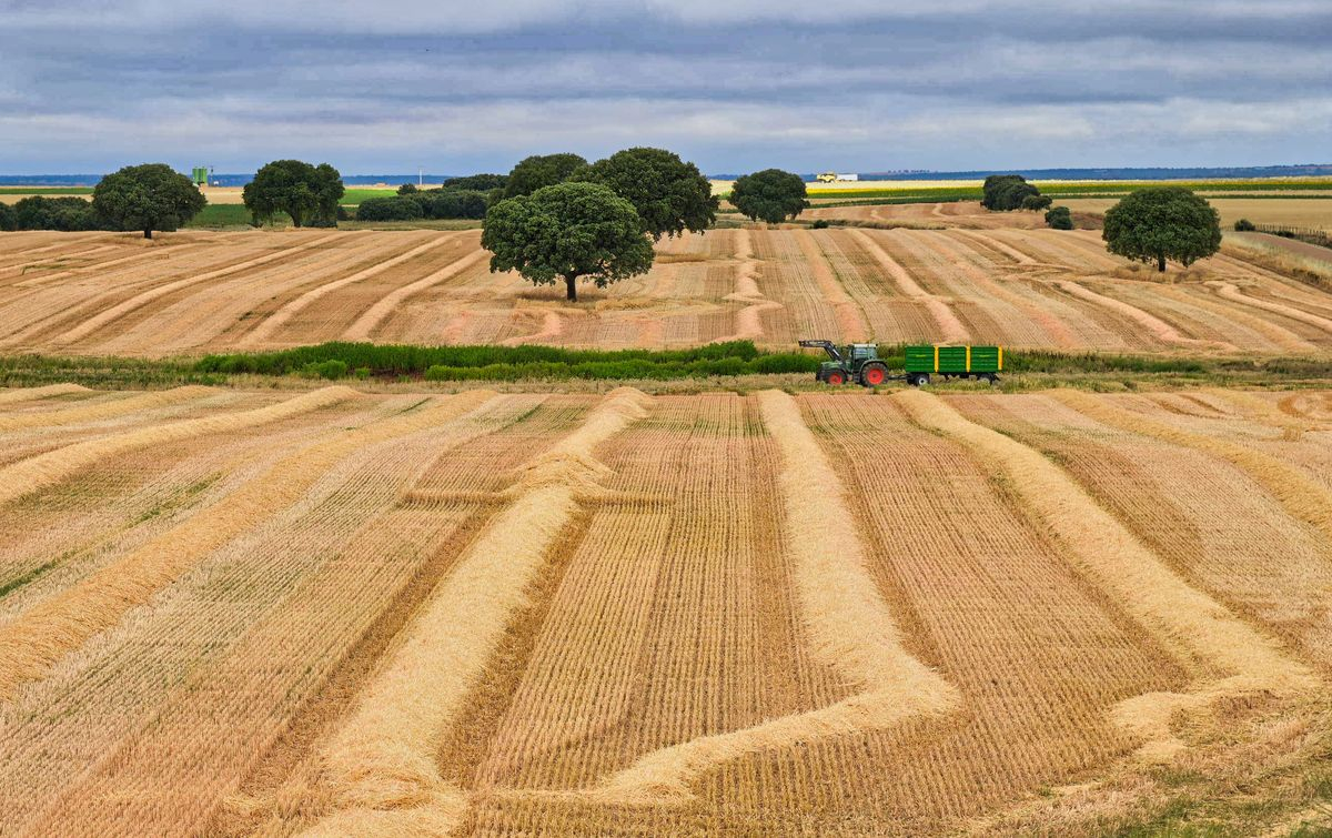 Galindo y Perahuy, Salamanca