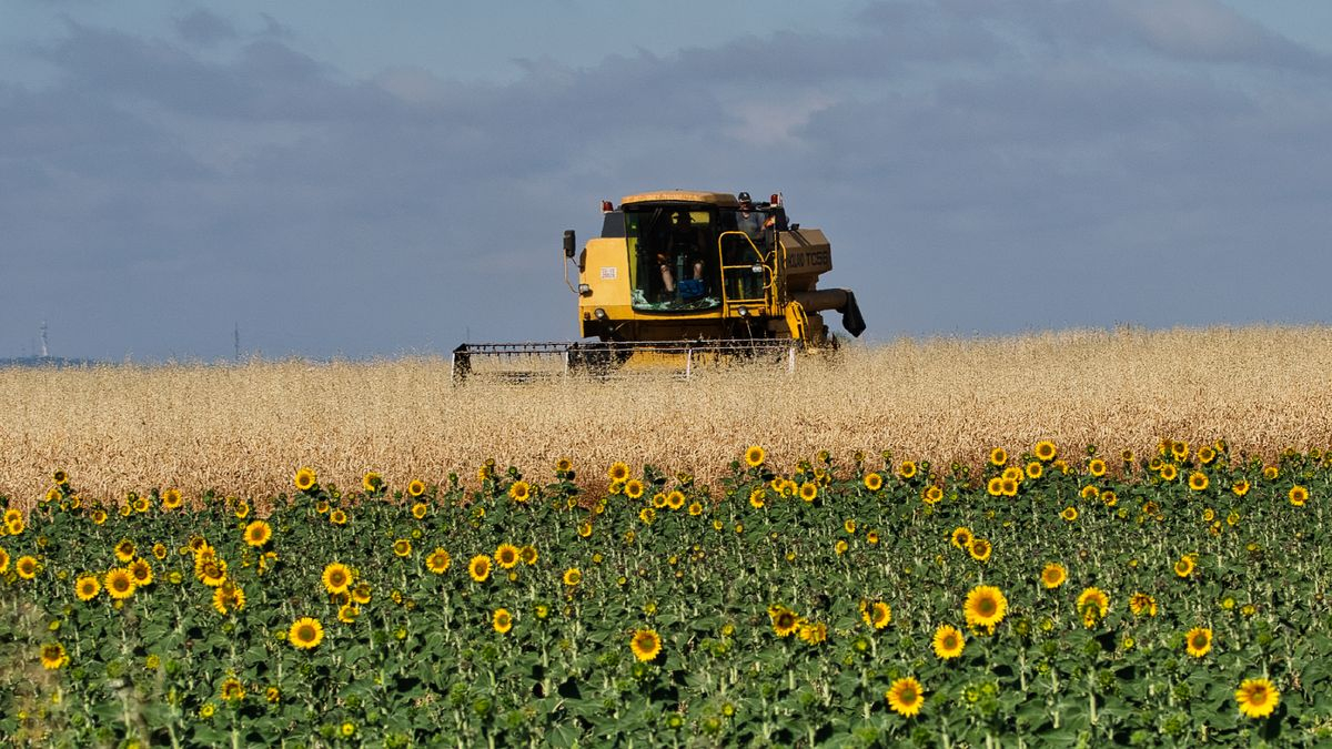 Gomecello, Salamanca