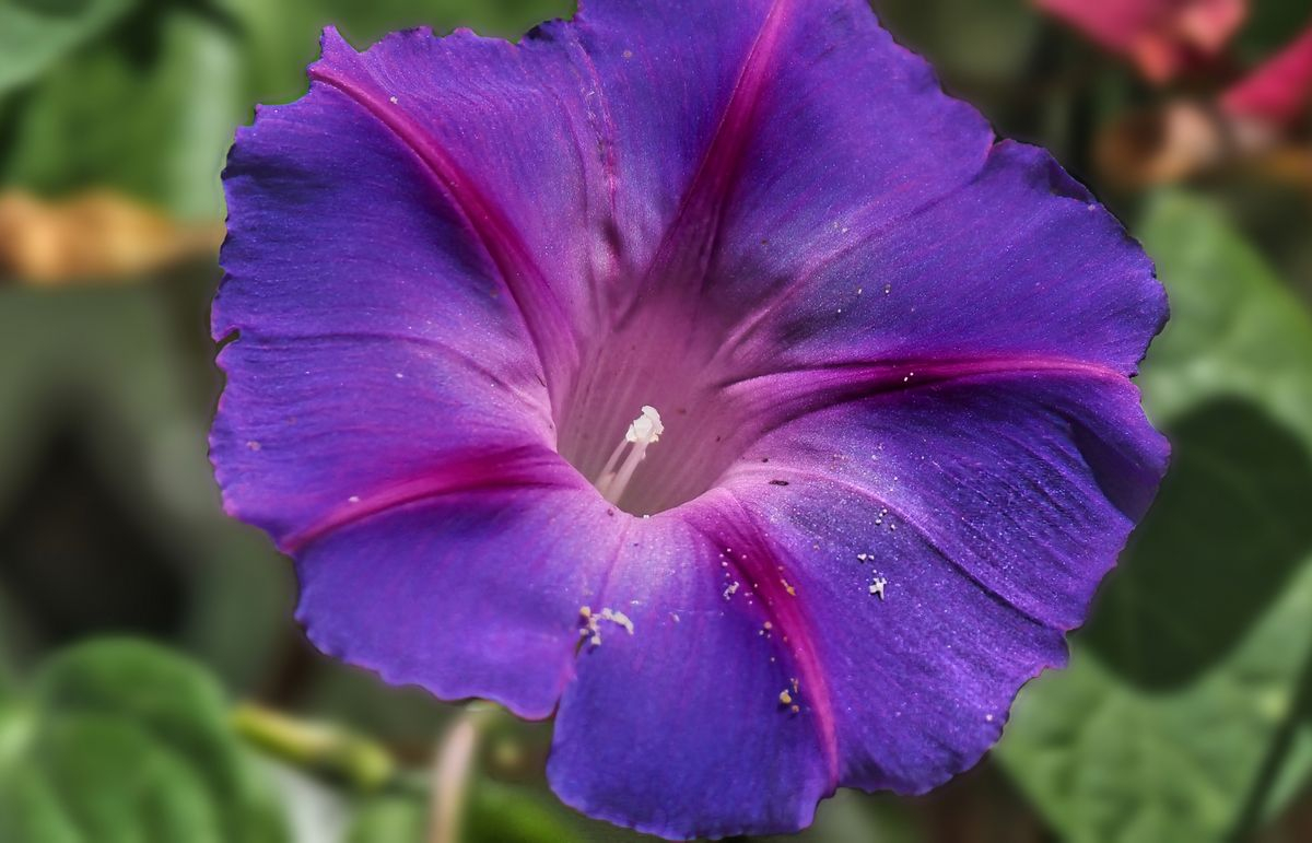 Villamayor, Salamanca