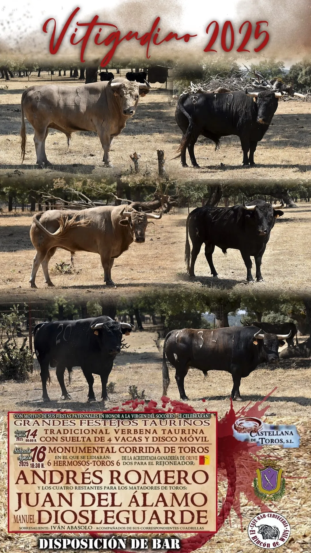 Toros de Orive para la corrida de toros mixta del 16 de agosto en Vitigudino