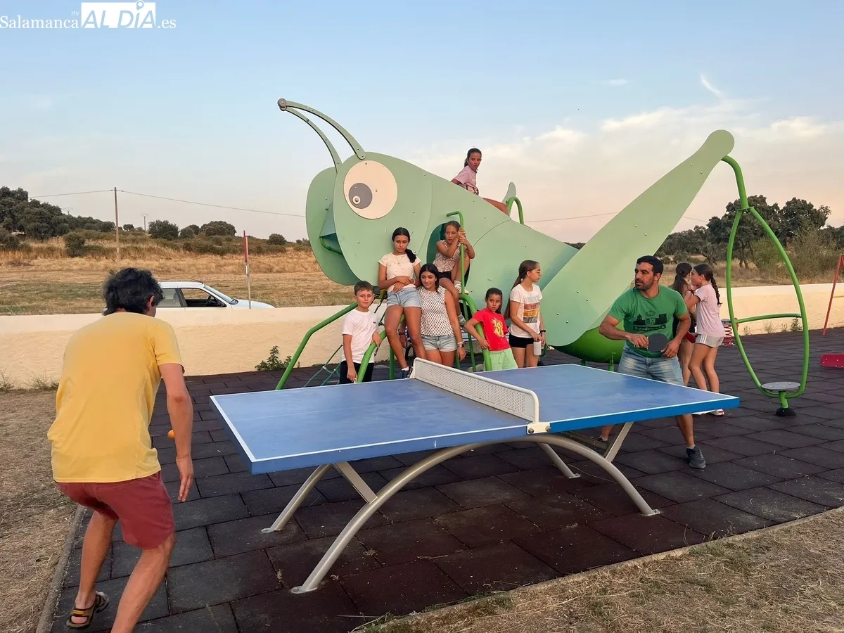 Excelente participación en las actividades organizadas a lo largo de este fin de semana  