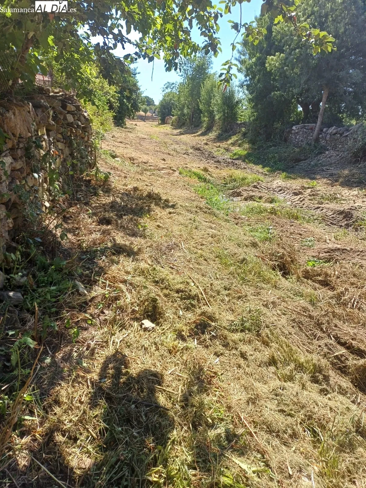Limpieza del cauce de la rivera en Hinojosa de Duero