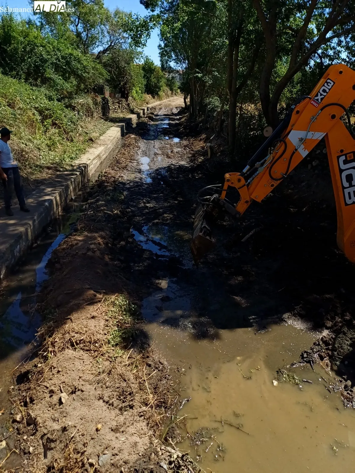 Limpieza del cauce de la rivera en Hinojosa de Duero
