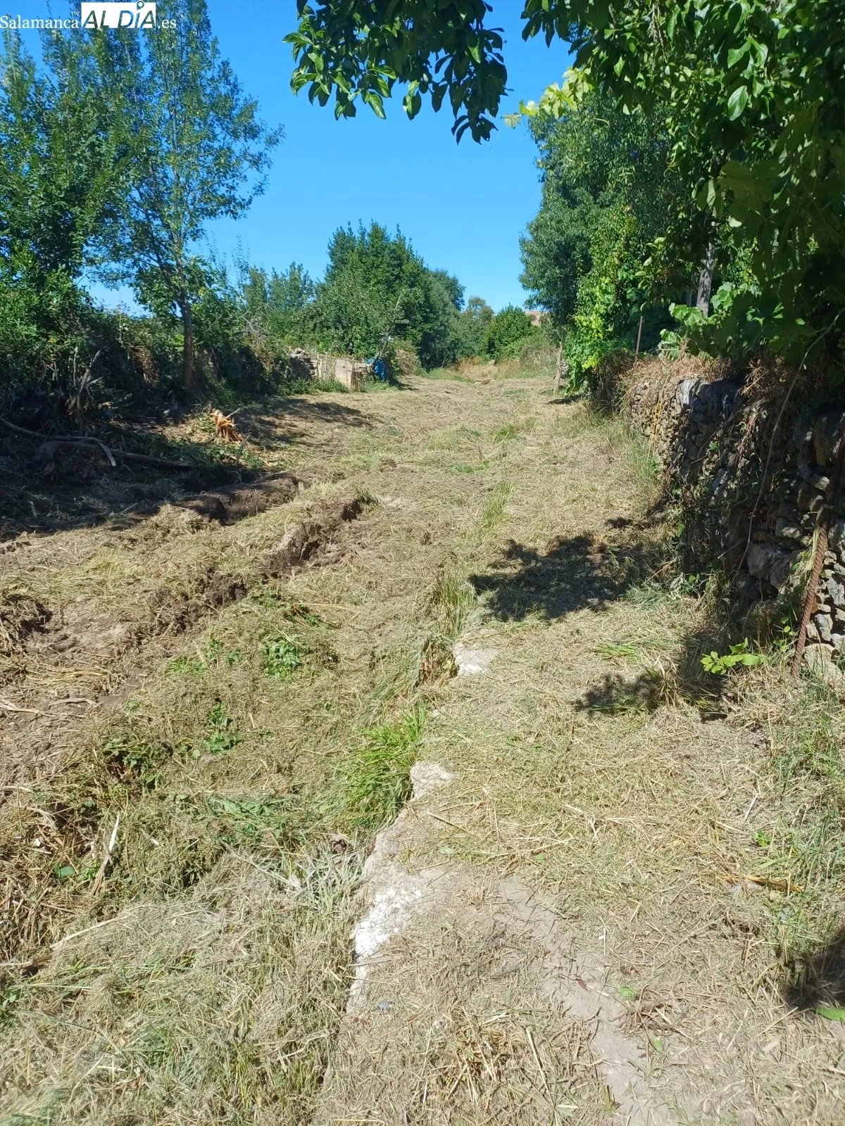 Limpieza del cauce de la rivera en Hinojosa de Duero
