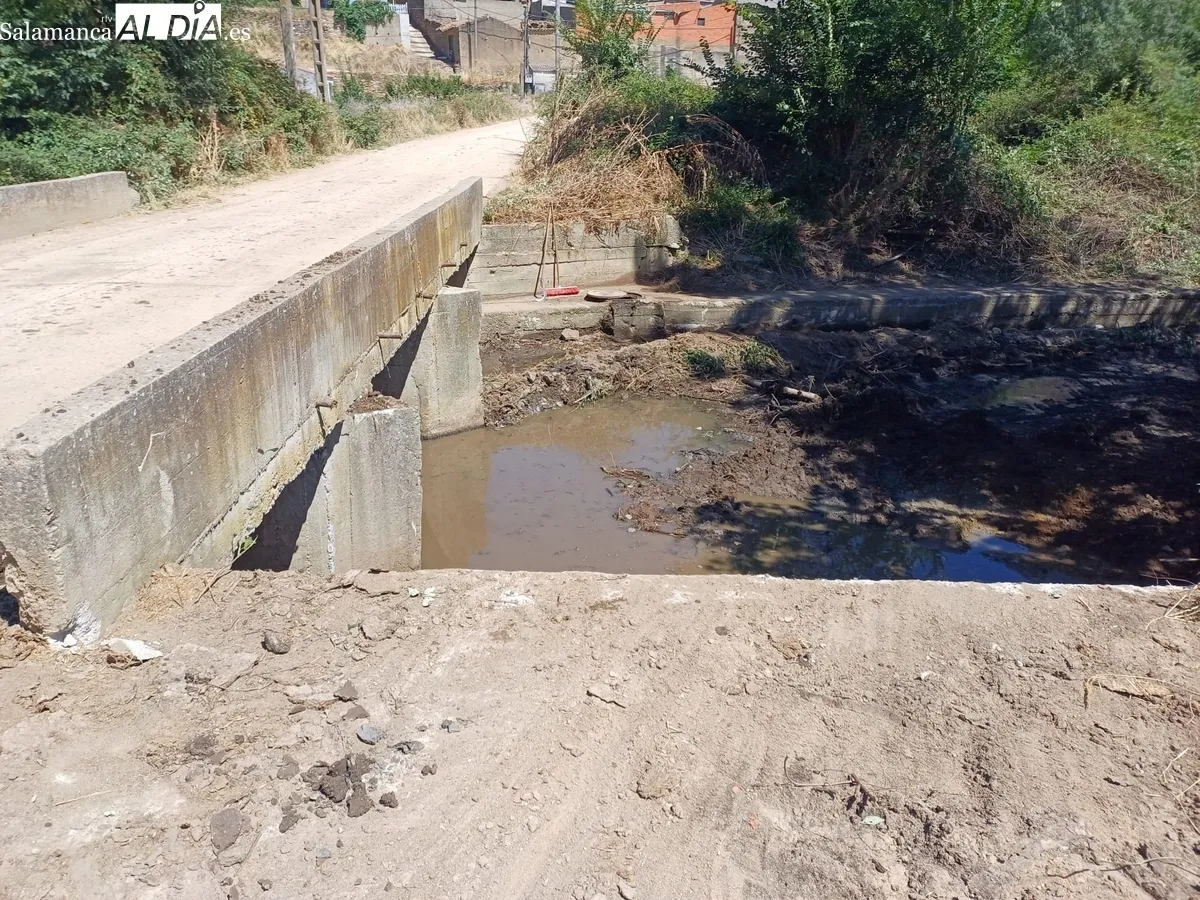 Limpieza del cauce de la rivera en Hinojosa de Duero