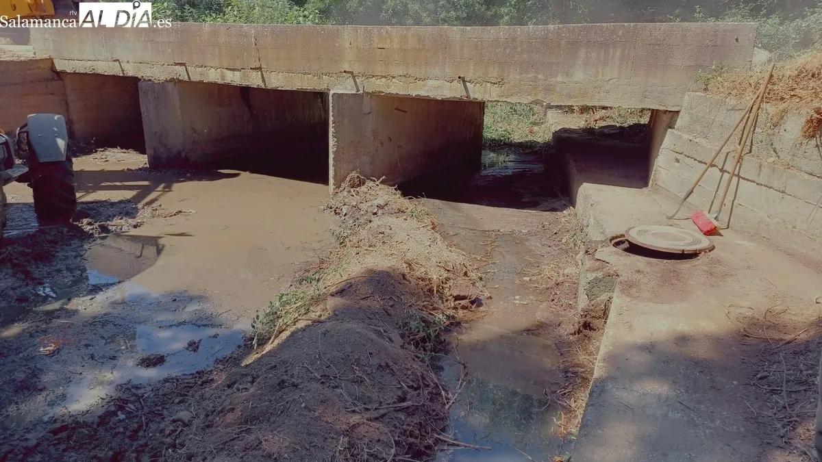 Limpieza del cauce de la rivera en Hinojosa de Duero