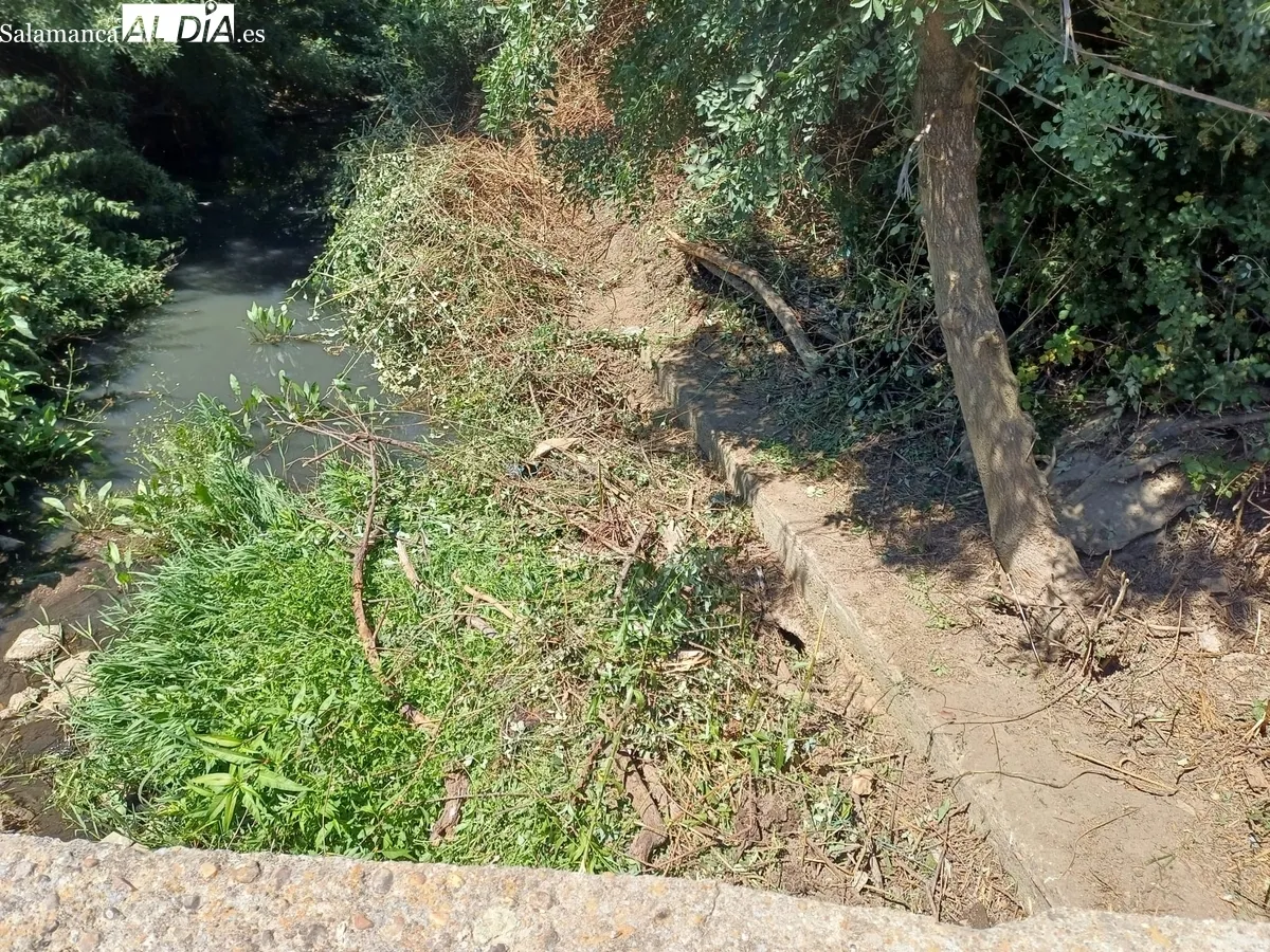 Limpieza del cauce de la rivera en Hinojosa de Duero