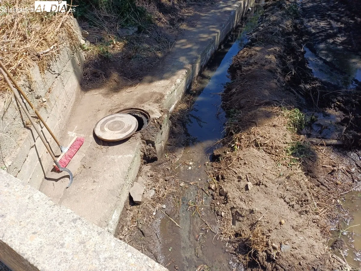 Limpieza del cauce de la rivera en Hinojosa de Duero