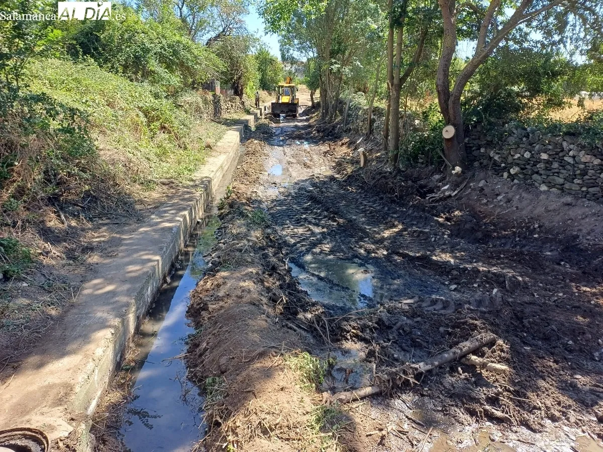 Limpieza del cauce de la rivera en Hinojosa de Duero