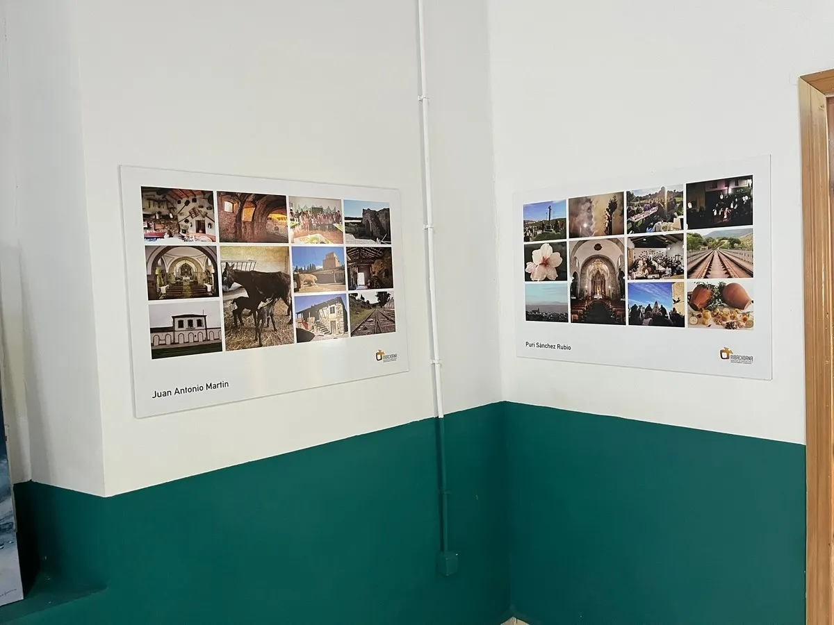 Ambas exposiciones pueden verse hasta el 17 de agosto en el edificio multiusos (antiguas escuelas)
