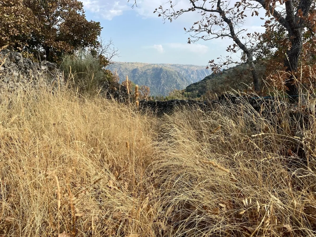 Estado de abandono del GR-14, Senda del Duero