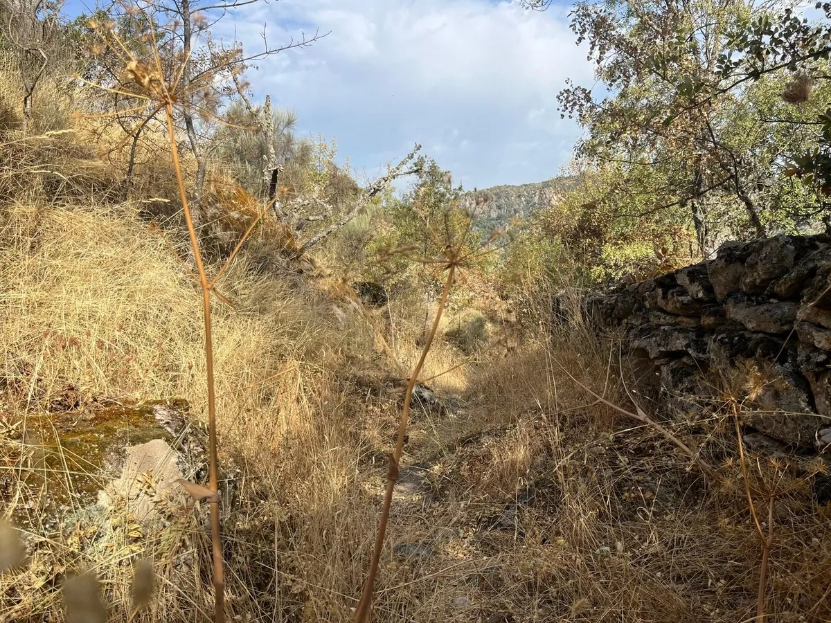 Estado de abandono del GR-14, Senda del Duero