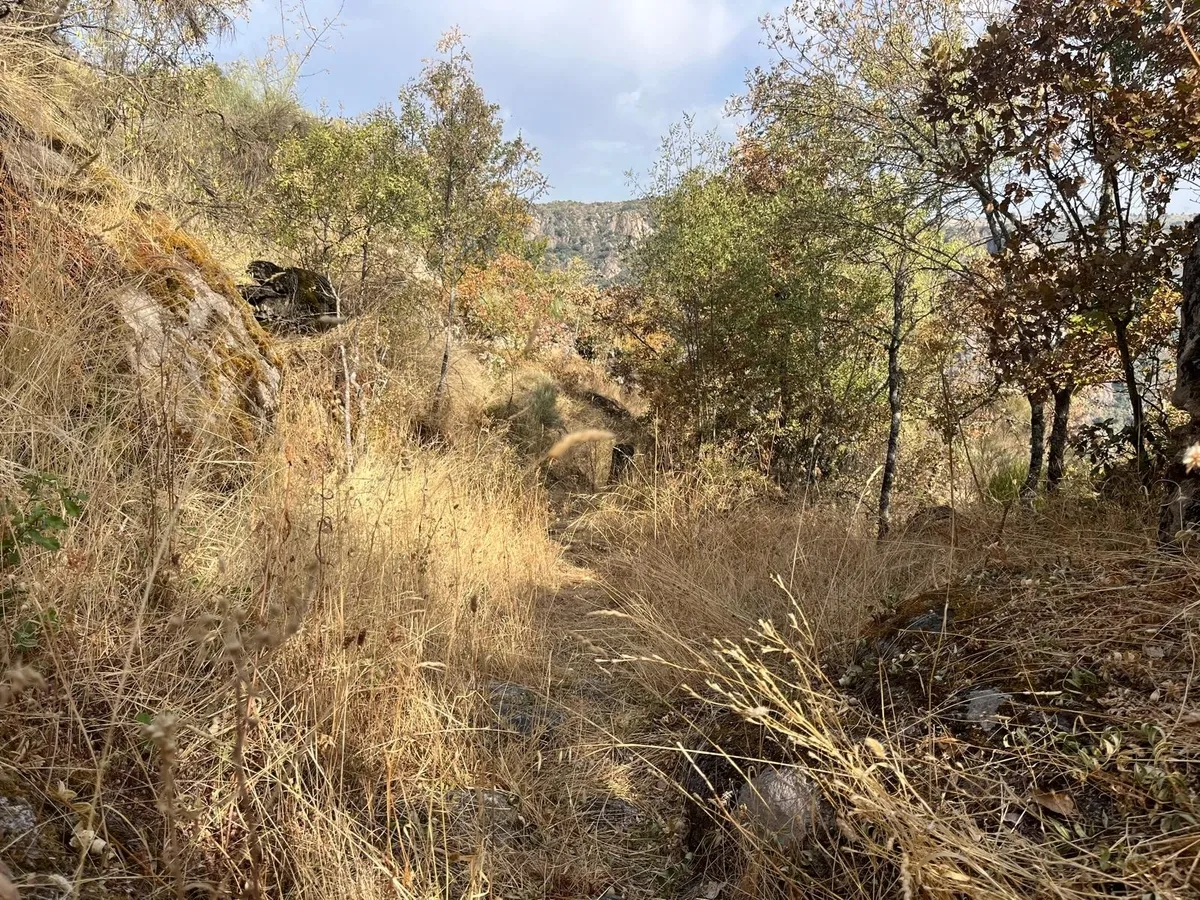 Estado de abandono del GR-14, Senda del Duero