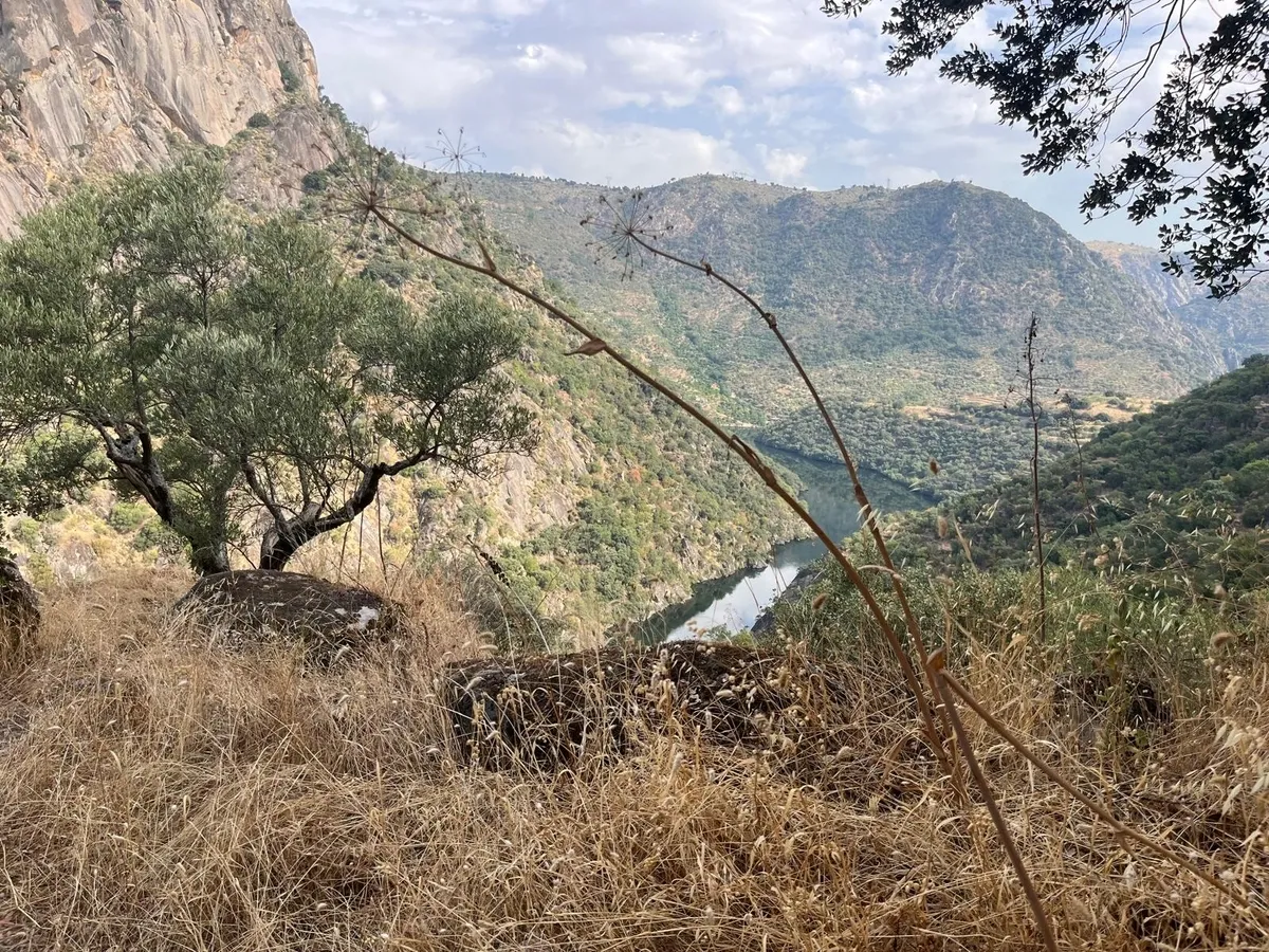 Estado de abandono del GR-14, Senda del Duero