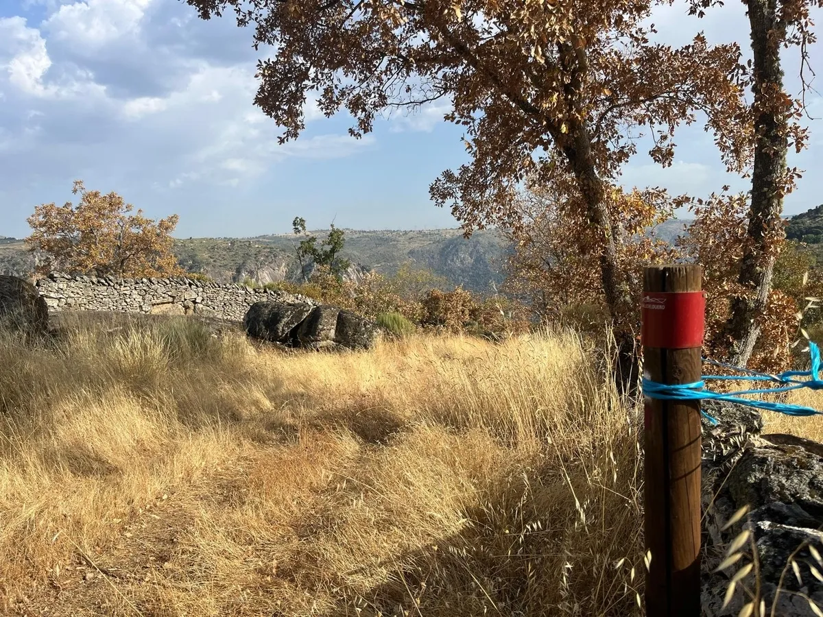Estado de abandono del GR-14, Senda del Duero