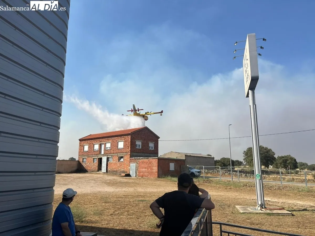 Las llamas han quedado a unos metros de la fábrica de obleas Pan de Ángel, y de las viviendas de la zona del puente 