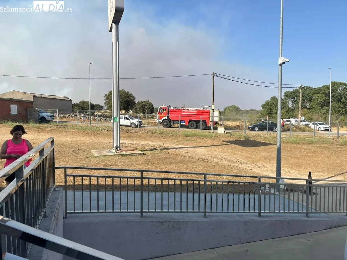 Las llamas han quedado a unos metros de la fábrica de obleas Pan de Ángel, y de las viviendas de la zona del puente 