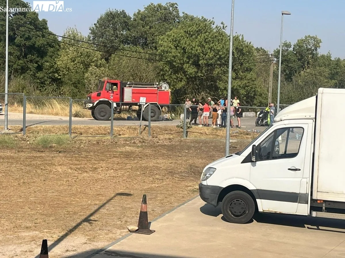 Las llamas han quedado a unos metros de la fábrica de obleas Pan de Ángel, y de las viviendas de la zona del puente 