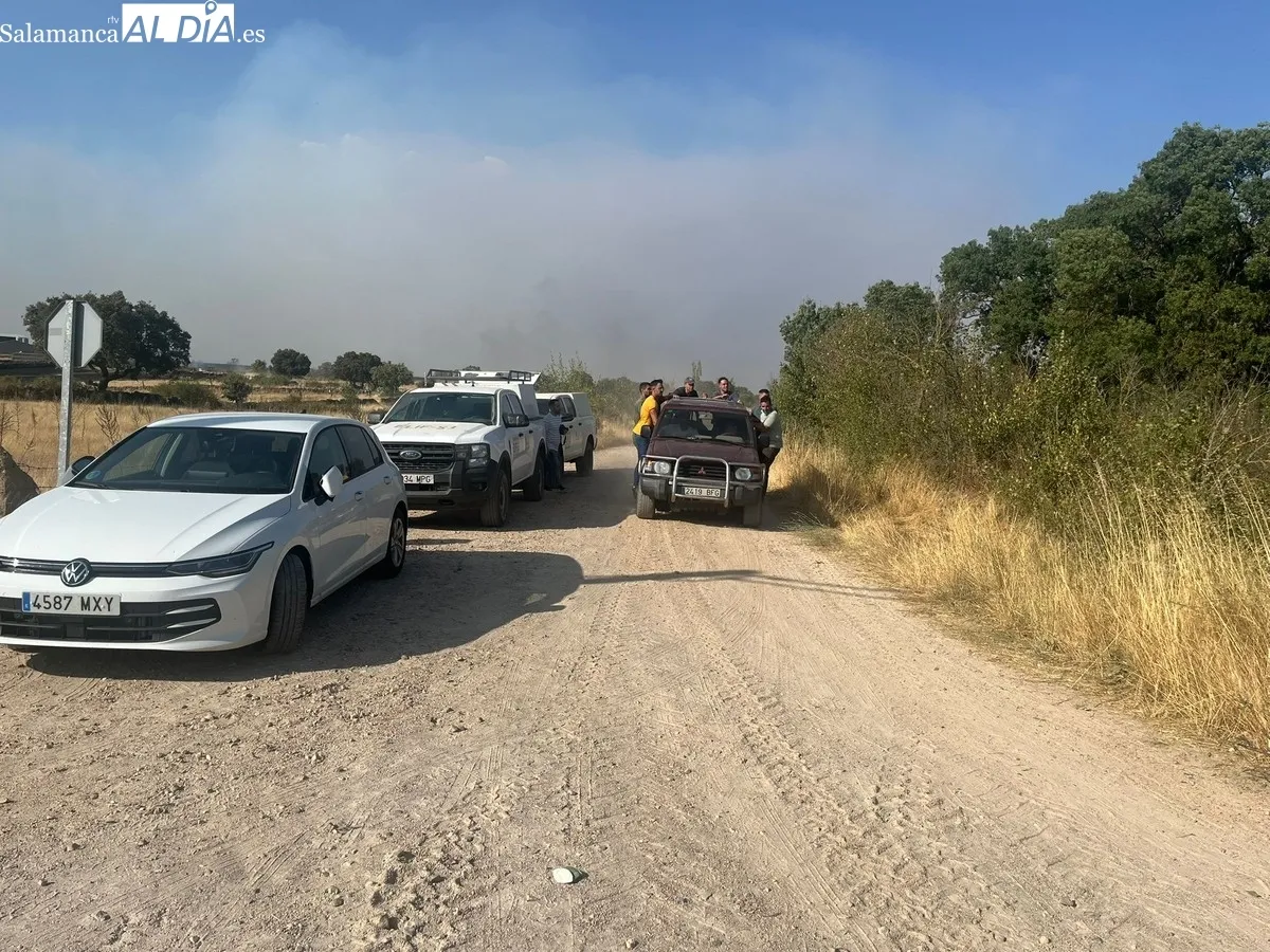 Las llamas han quedado a unos metros de la fábrica de obleas Pan de Ángel, y de las viviendas de la zona del puente 
