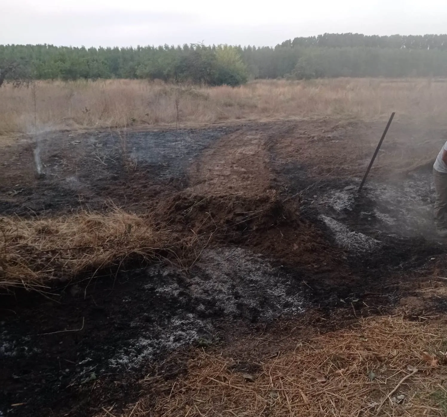 Foto 2 - Vecinos de &Aacute;gueda apagan un conato de incendio presumiblemente provocado