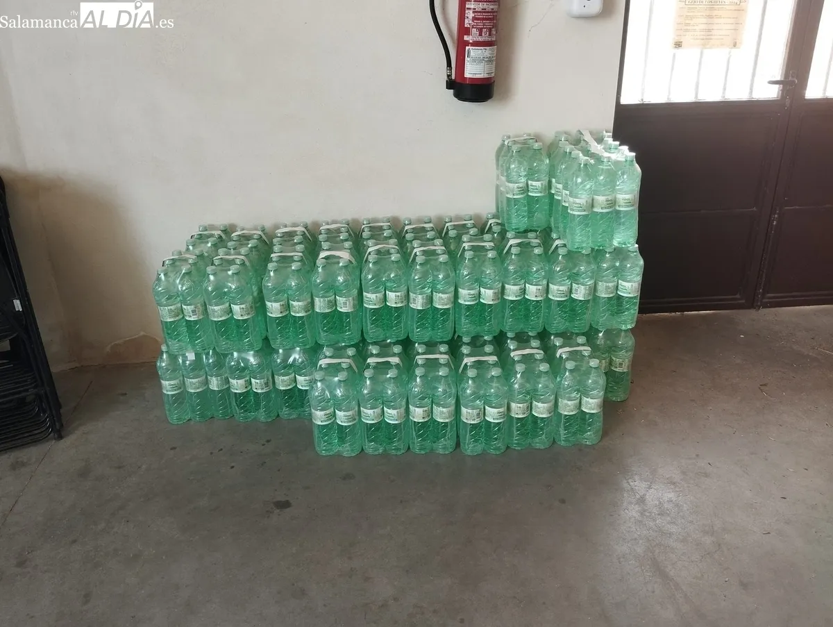 Algunas de las imágenes que el pasado 15 de agosto vivieron los vecinos del municipio de Villaseco de los Reyes