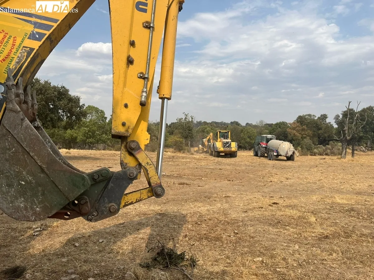 Algunas de las imágenes que el pasado 15 de agosto vivieron los vecinos del municipio de Villaseco de los Reyes