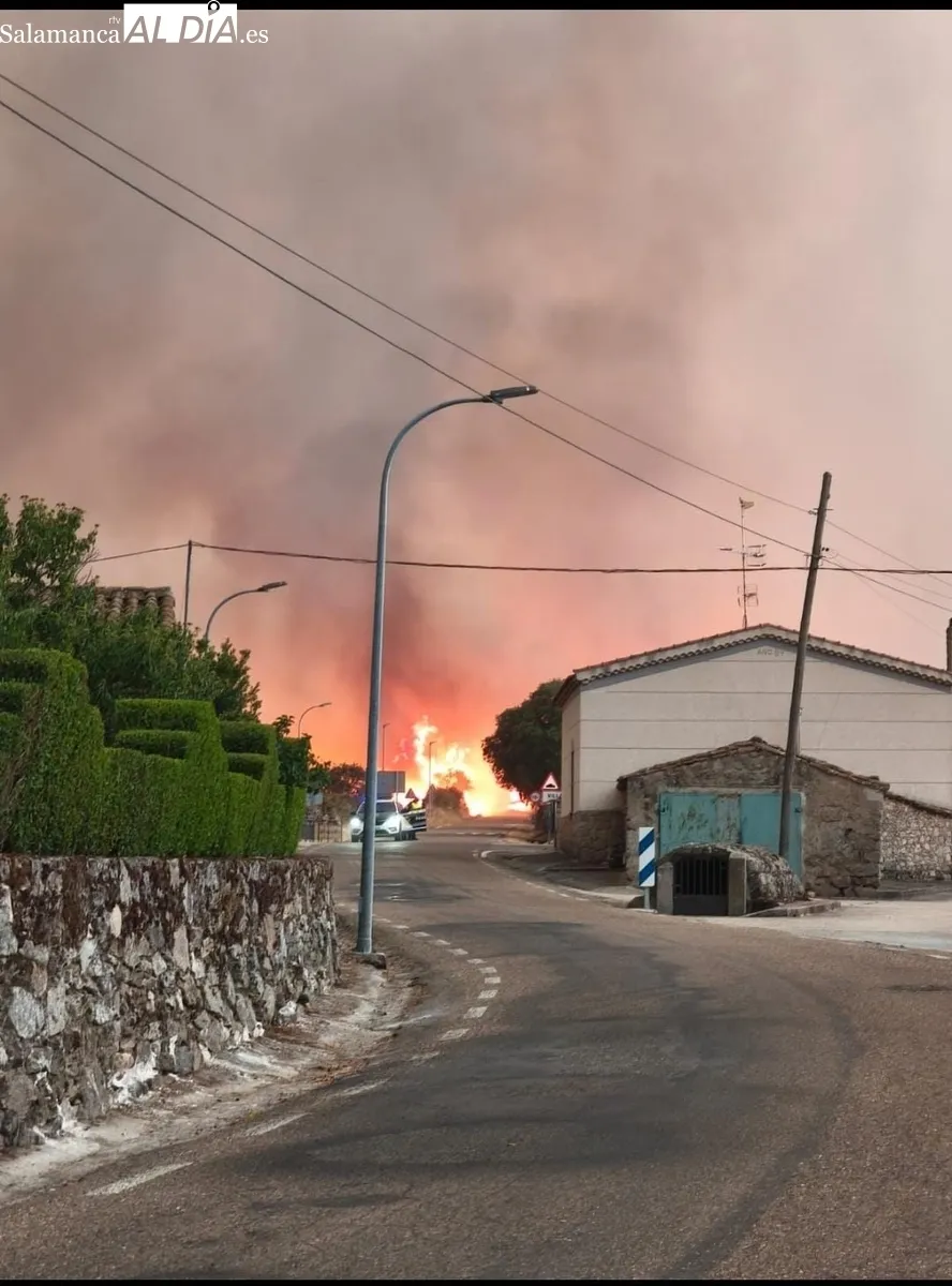 Algunas de las imágenes que el pasado 15 de agosto vivieron los vecinos del municipio de Villaseco de los Reyes