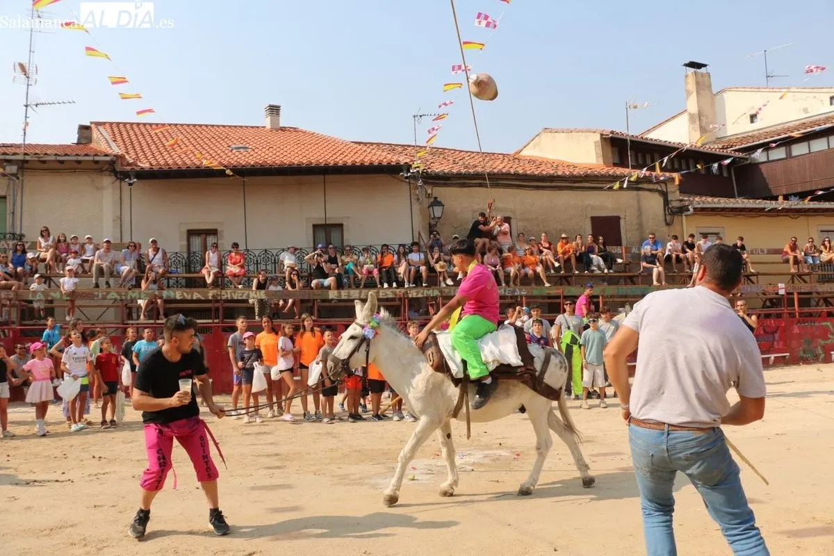 Los Quintos animan en Vilvestre las Fiestas del Toro