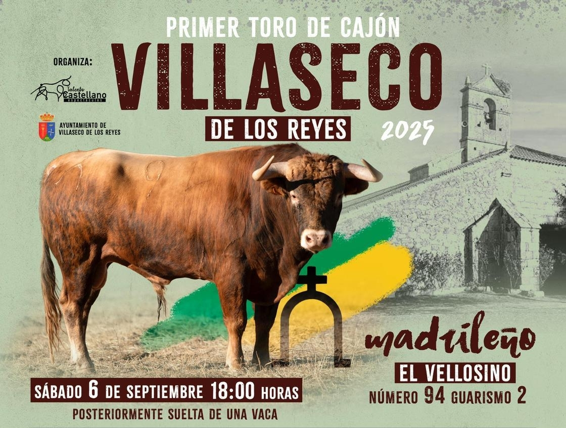 Fiestas de Villaseco de los Reyes 2025: programa completo