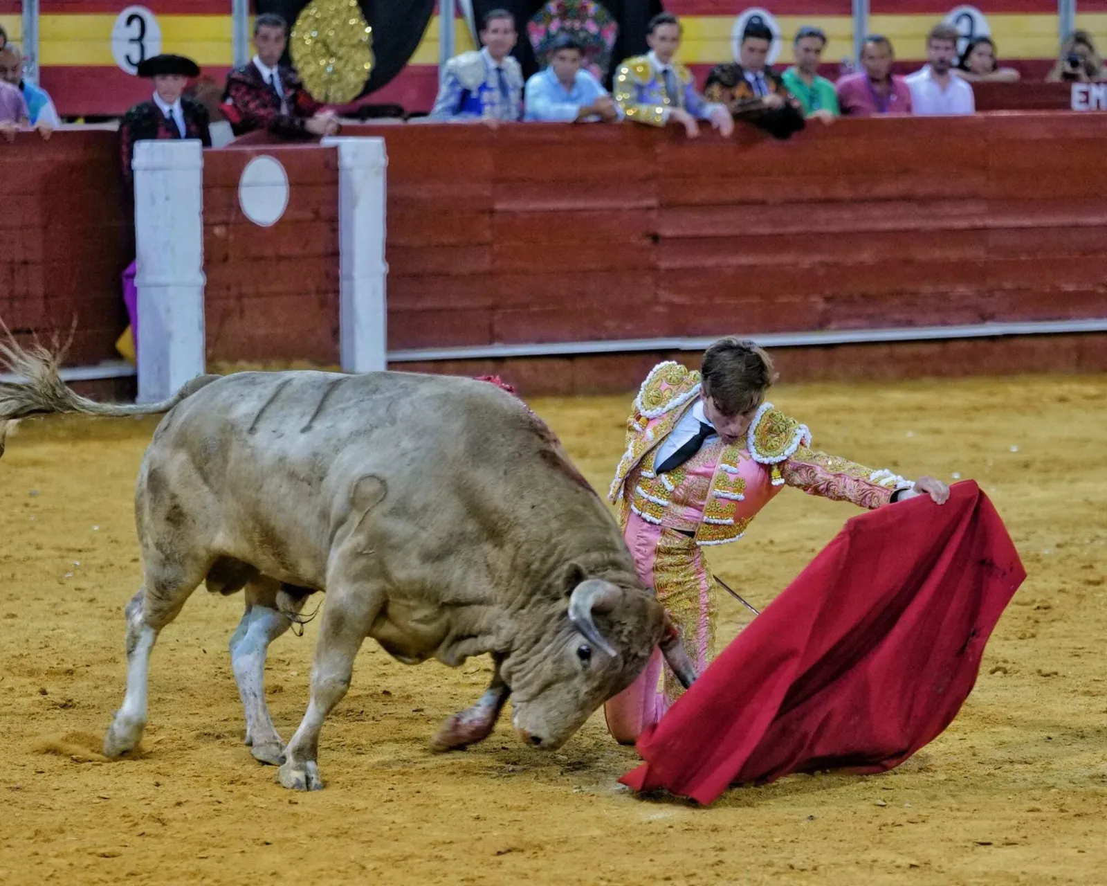 Triunfo de Julio Norte en Almería | FOTOS: Lances de Futuro