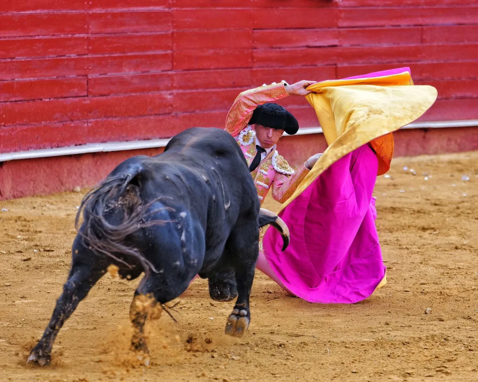 Triunfo de Julio Norte en Almería | FOTOS: Lances de Futuro