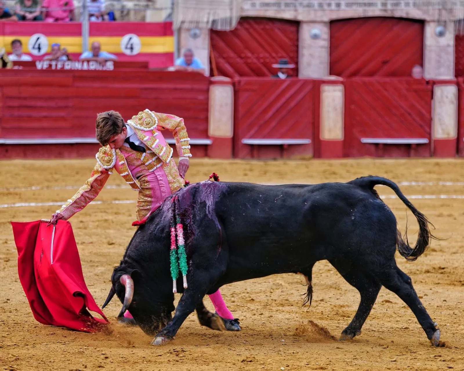 Triunfo de Julio Norte en Almería | FOTOS: Lances de Futuro