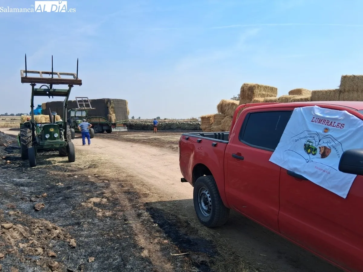 Hasta el momento este grupo de ganaderos del Abadengo ha repartido 100 toneladas de paja y forraje entre ganaderos afectados por el incendio de Cipérez 