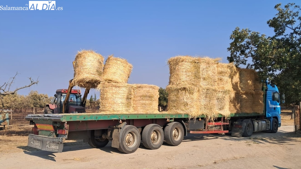 Ganaderos del Abadengo donan 100 toneladas a afectados de Cipérez