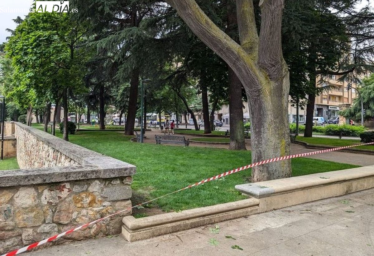 Cierre de parques en Salamanca hoy por alerta de viento: lista completa
