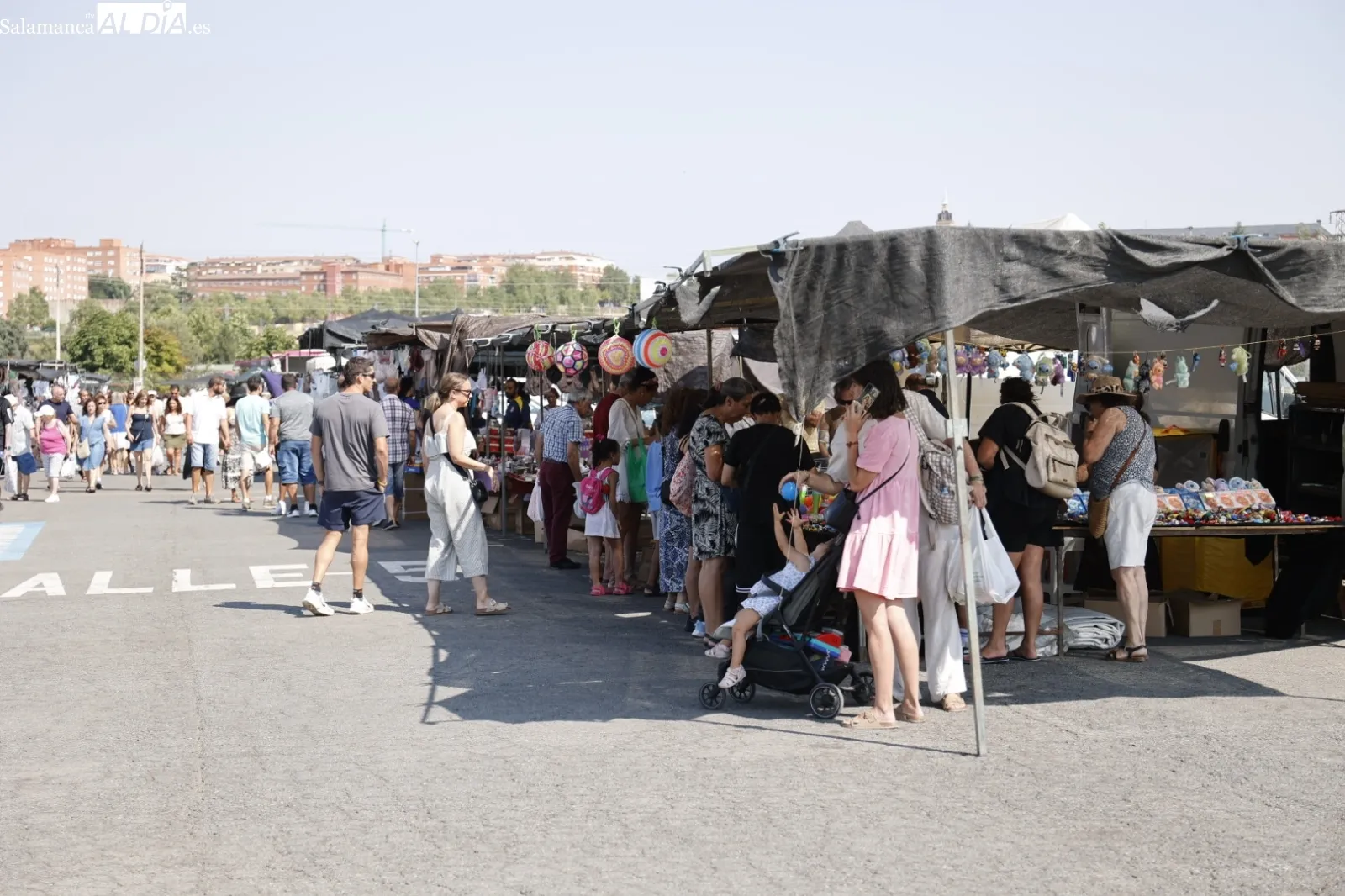 Foto 10 - El Rastro de Salamanca mantiene su actividad pese al calor veraniego en el primer domingo de agosto (FOTOS)