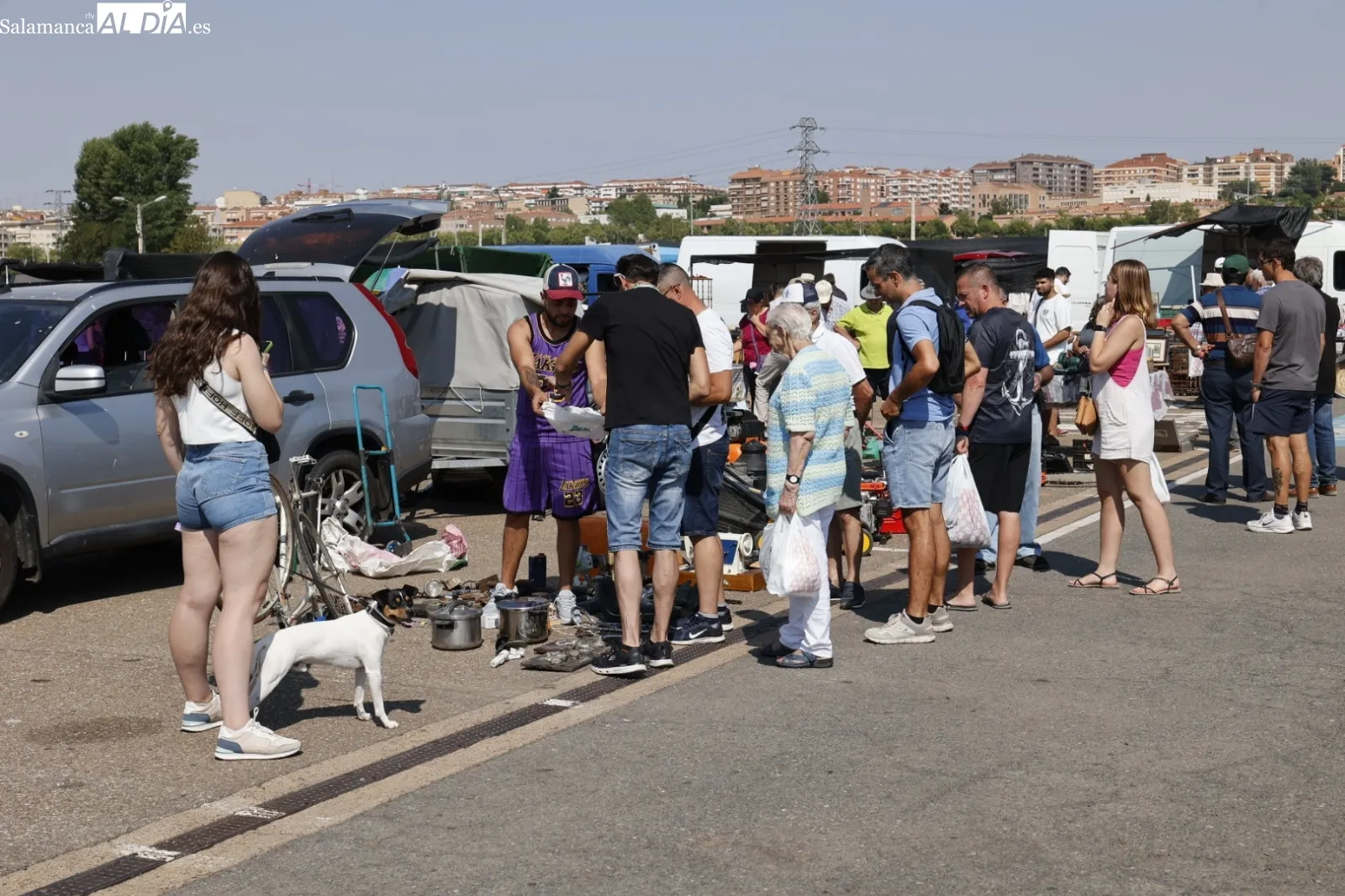 Foto 9 - El Rastro de Salamanca mantiene su actividad pese al calor veraniego en el primer domingo de agosto (FOTOS)