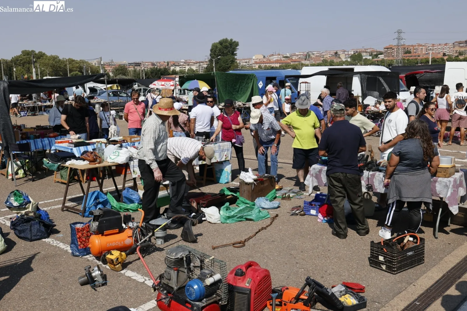 Foto 8 - El Rastro de Salamanca mantiene su actividad pese al calor veraniego en el primer domingo de agosto (FOTOS)