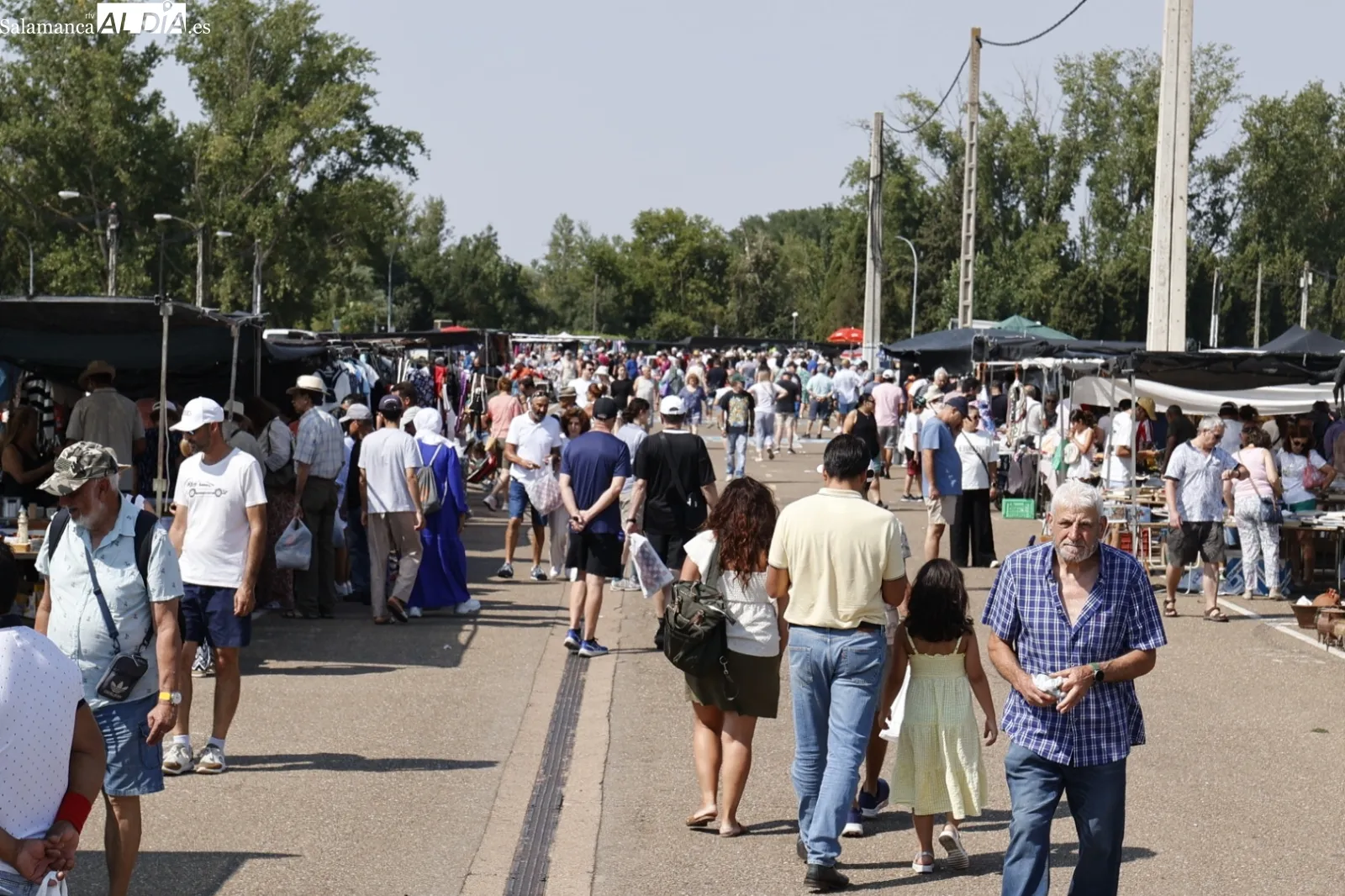 Foto 7 - El Rastro de Salamanca mantiene su actividad pese al calor veraniego en el primer domingo de agosto (FOTOS)
