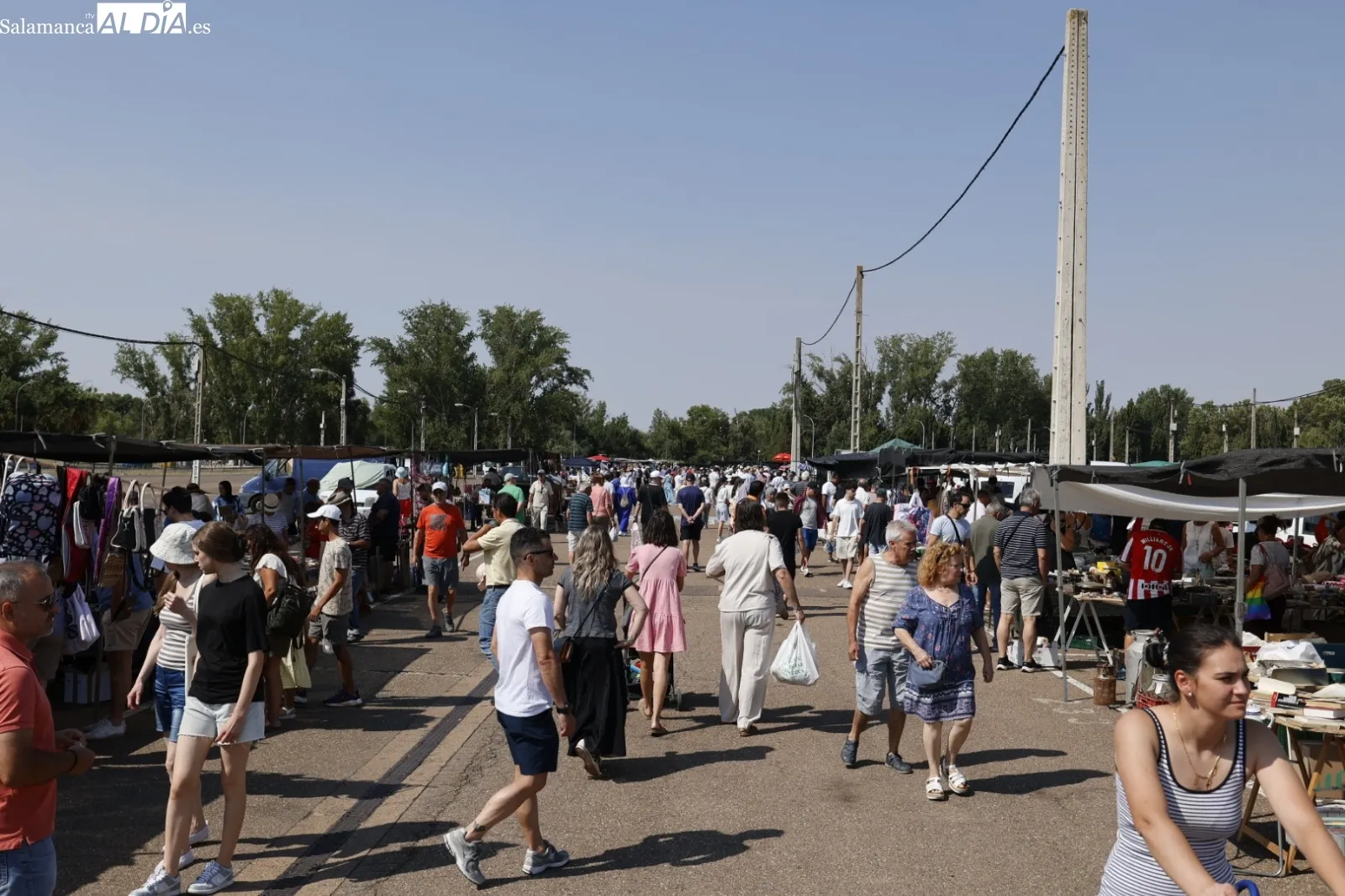 Foto 5 - El Rastro de Salamanca mantiene su actividad pese al calor veraniego en el primer domingo de agosto (FOTOS)