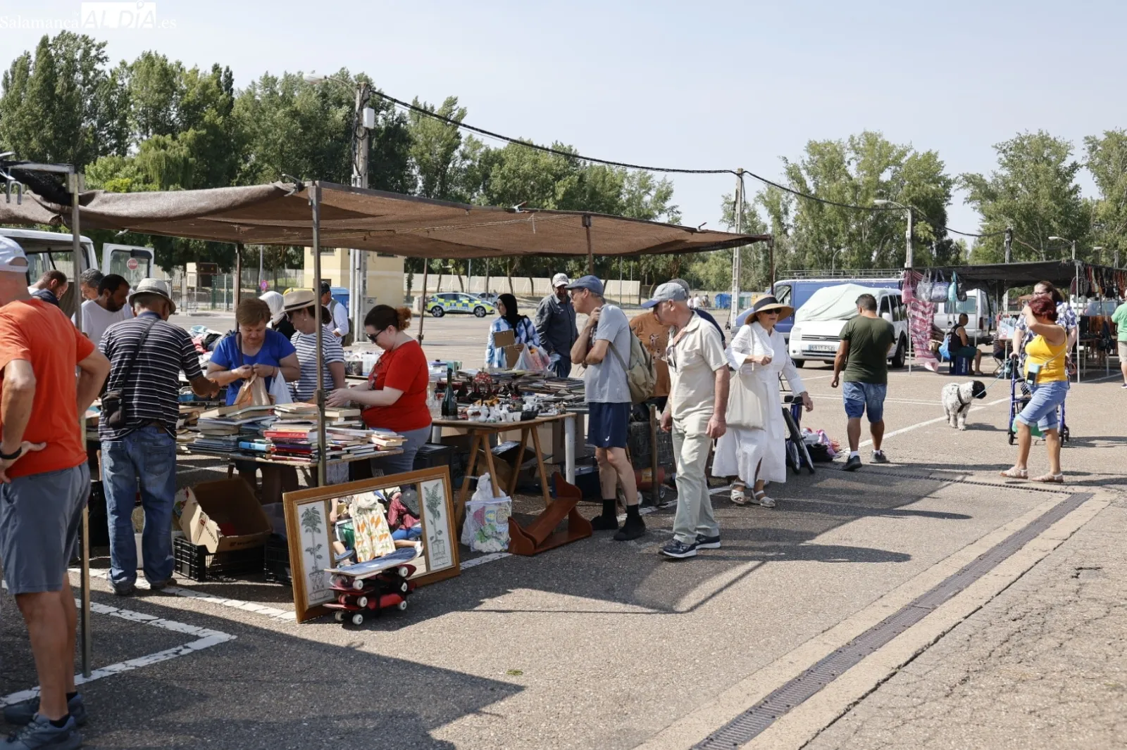 Foto 4 - El Rastro de Salamanca mantiene su actividad pese al calor veraniego en el primer domingo de agosto (FOTOS)