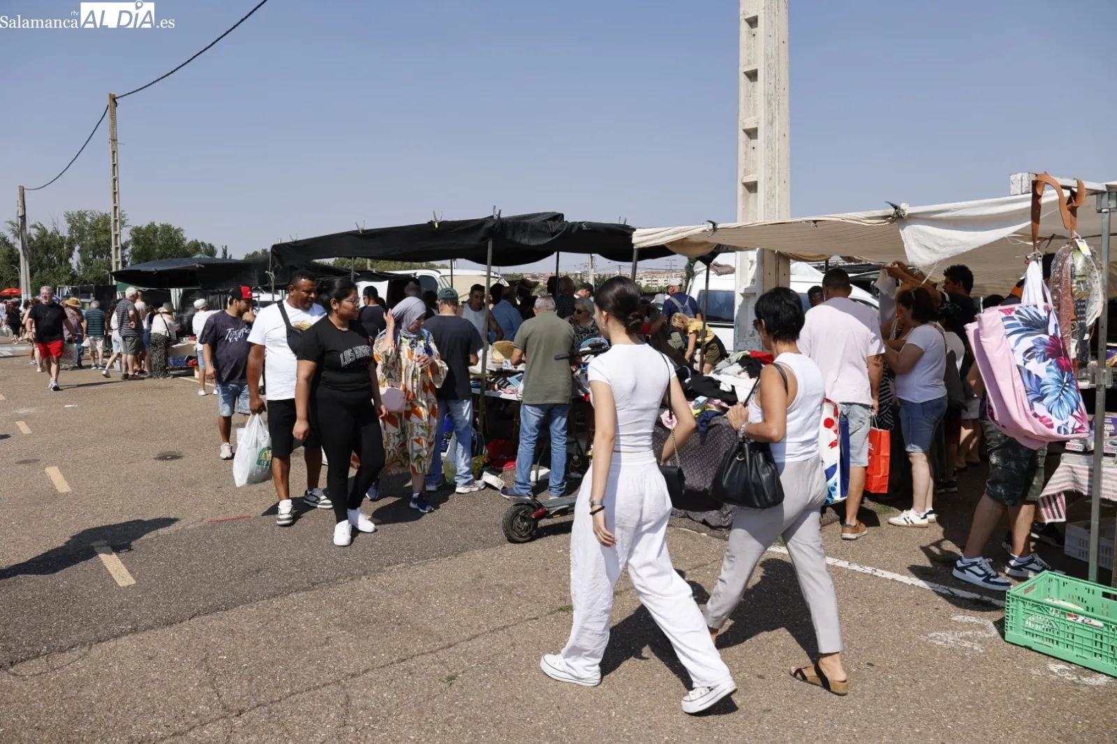 Foto 3 - El Rastro de Salamanca mantiene su actividad pese al calor veraniego en el primer domingo de agosto (FOTOS)