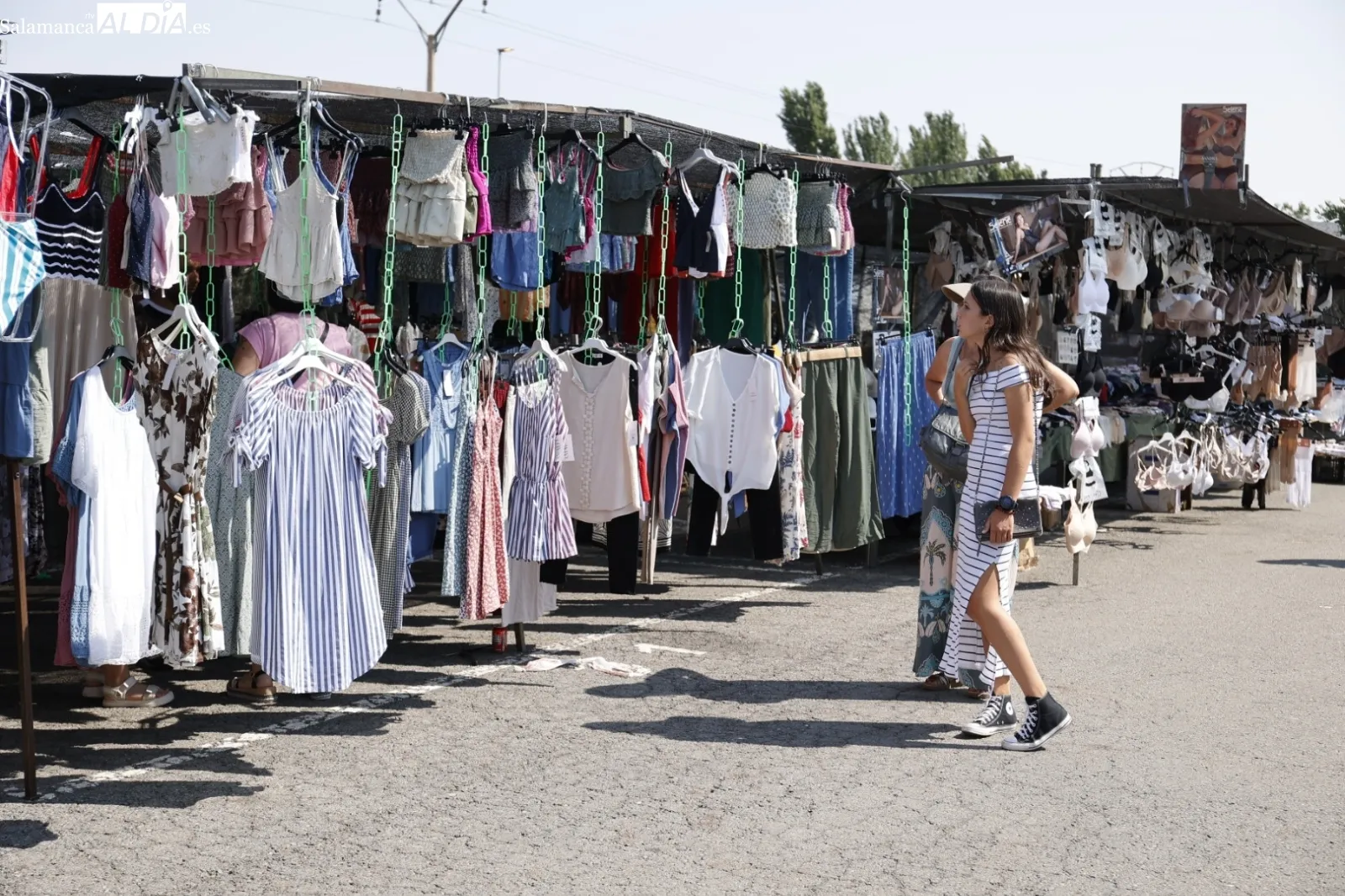 Foto 18 - El Rastro de Salamanca mantiene su actividad pese al calor veraniego en el primer domingo de agosto (FOTOS)