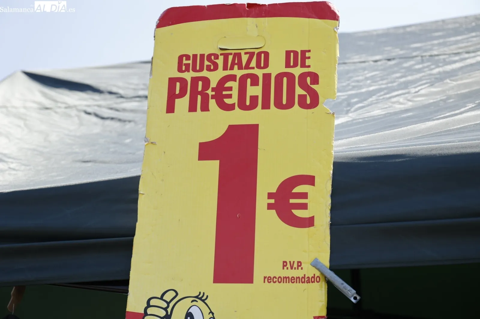 Foto 17 - El Rastro de Salamanca mantiene su actividad pese al calor veraniego en el primer domingo de agosto (FOTOS)