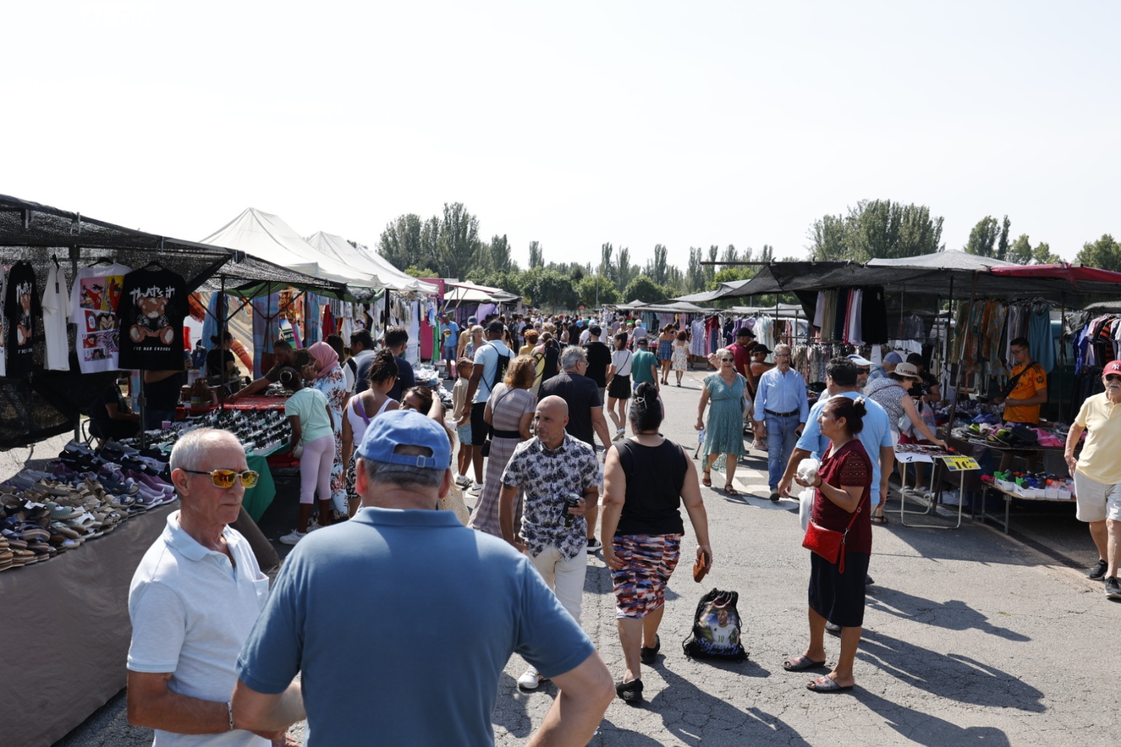 El Rastro de Salamanca mantiene su actividad pese al calor veraniego en el primer domingo de agosto (FOTOS)