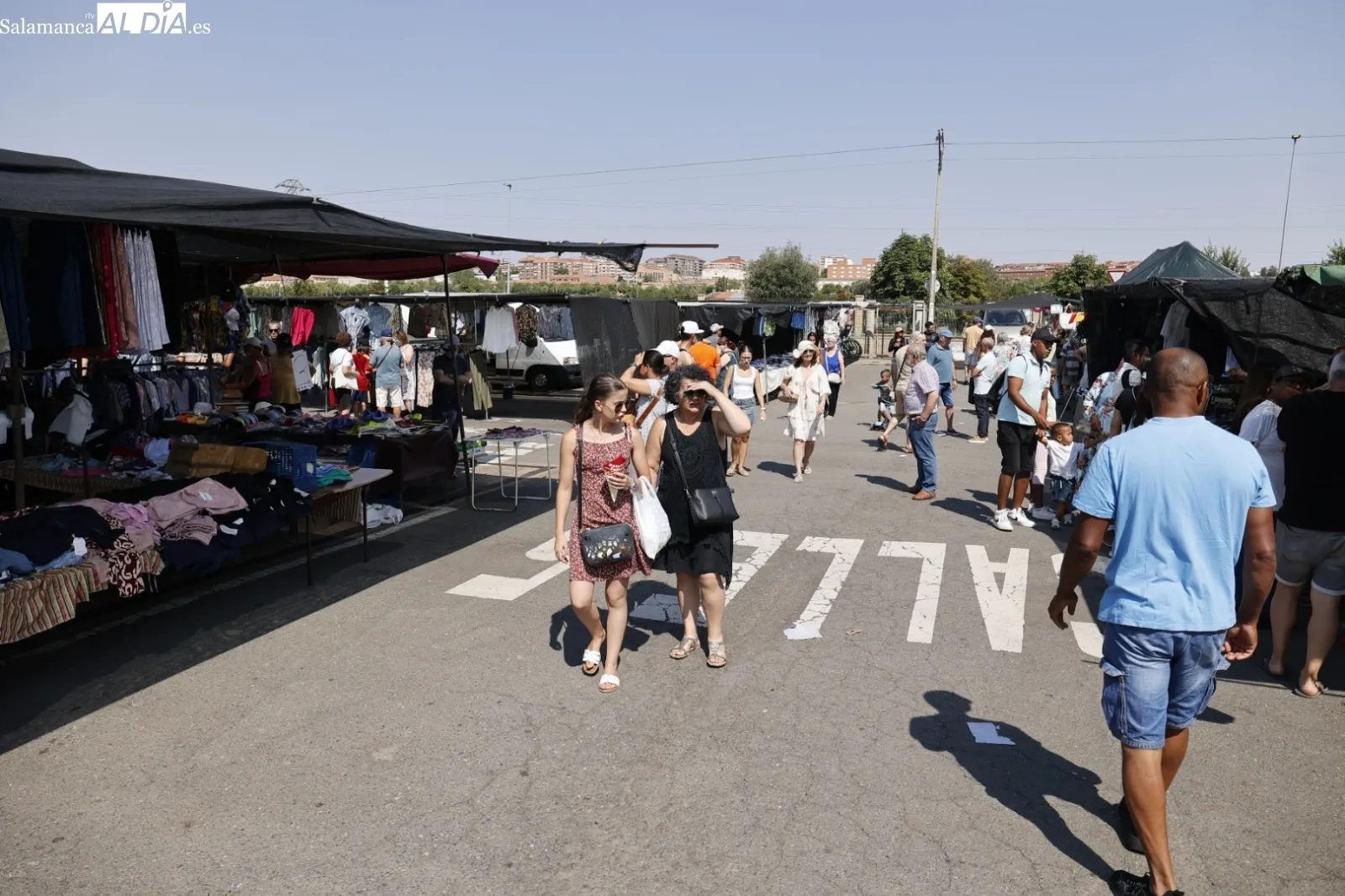 Foto 16 - El Rastro de Salamanca mantiene su actividad pese al calor veraniego en el primer domingo de agosto (FOTOS)